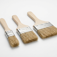 Set of 3 Natural Bristled Brushes