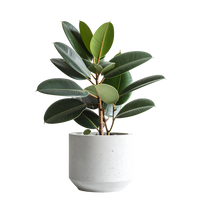 Dover 70 stone effect paint applied to a plant pot with a cool off-white Smooth Stone finish