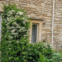 Cottage windowsills painted with Longleat 03