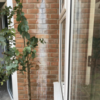 Brick Coating