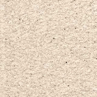 Southwick 56 textured stone effect paint close-up showing a soft warm beige limestone and travertine finish