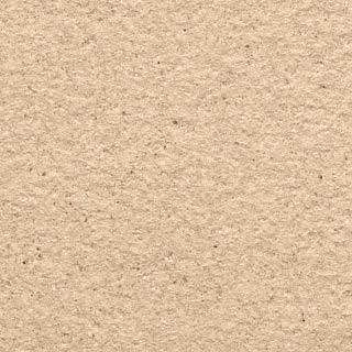 Paxton 57 textured stone effect paint close-up showing a warm creamy beige tumbled limestone finish