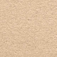 Paxton 57 textured stone effect paint close-up showing a warm creamy beige tumbled limestone finish