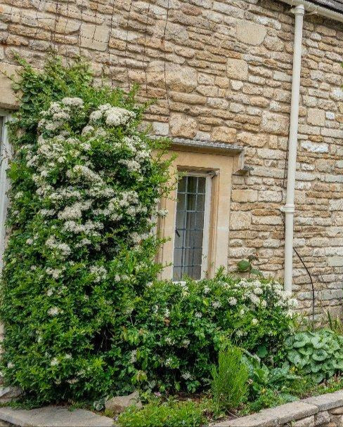 Cottage windowsills painted with Longleat 03