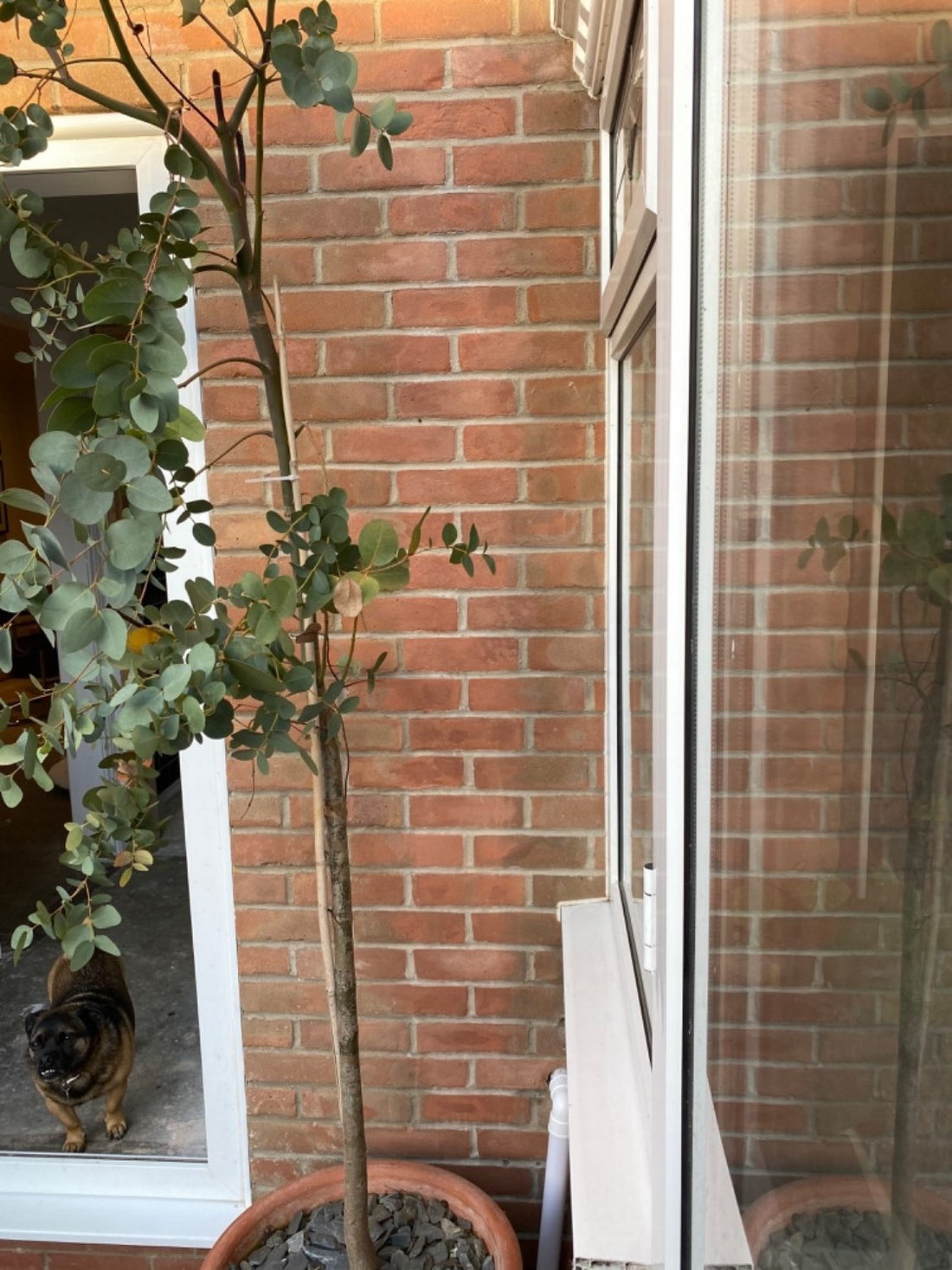Brick Coating